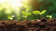 © Pro Hi-Res - Young plants growing in sunlight. Generative AI.