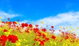 Fototapeta Do przedpokoju - Yellow and red flowers on a summer from Generative AI