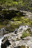 Fototapeta Łazienka - mountain stream