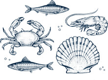 Seafood Collection. Engraved Vintage. Fish, Seashell, Crab, Shrimp, Herbs. Vector Illustration. Sea Restaurant Set. 