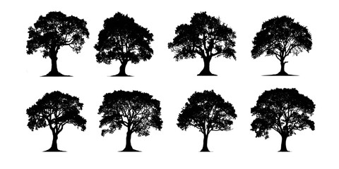 black silhouettes of trees against a white background.