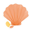 watercolor sea shell