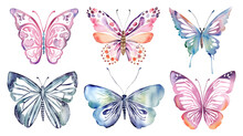 Watercolor Butterfly Pink And Blue Clipart Set. Hand Drawn Illustration