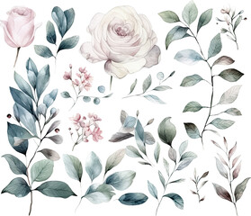 Wall Mural - Set of watercolor flowers leaves and twigs on a white background,ai