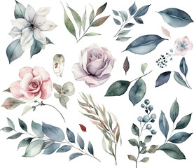 Wall Mural - Set of watercolor flowers leaves and twigs on a white background,ai