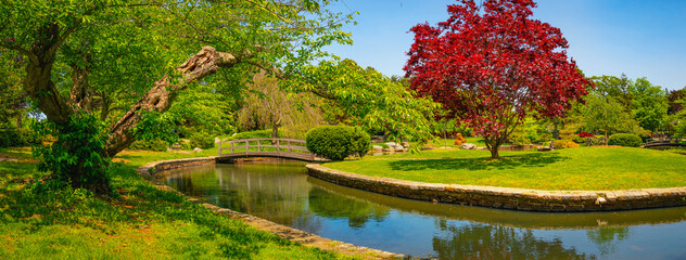 japanese garden at roger williams park, providence, rhode island, circular footpath, pond, red maple