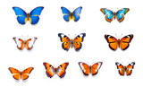 Fototapeta Motyle - Wunderschöner Schmetterling, im Frühling, Isoliert, freigestellt, generative AI