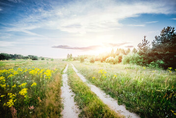 Wall Mural - Rural road in field