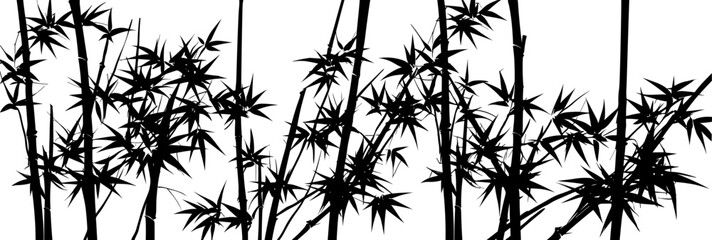 Bamboo forest silhouette. Vector isolated design element