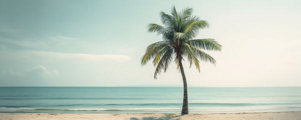 Canvas Print - lonely palm tree on the beach near the ocean with copy space