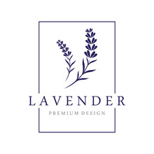Hand Drawn Organic Lavender Flower Logo Template Design.Logo For Cosmetic, Beauty,tea,oil,herb.