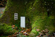 © loerke.foto - Feenhütte in einem Baumstamm im Wald