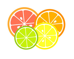 Wall Mural - Citrus fruit slices. PNG illustration