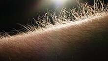 Hand skin texture hair goosebumps close-up. Hairy goose bumps Arm surface macro shooting. Body and healthcare, hygiene and medicine concept.