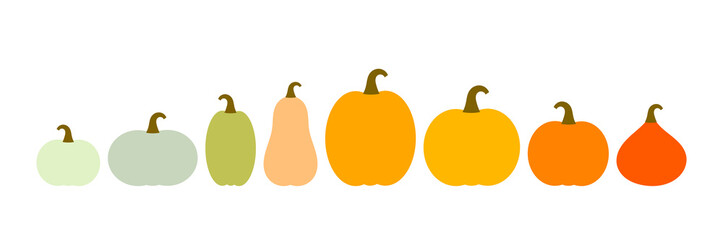 Wall Mural - autumn pumpkins icons colorful varieties collection border. png illustration.