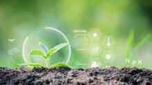 Agricultural Growth Concept Check The Soil And Plants. Including The Use Of Artificial Intelligence Agricultural Technology In Technology Green Background With Icons