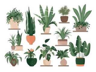 Home indoor plants in pots Collection in cartoon style illustration. set isolated on white background. generative ai