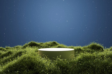 Wall Mural - abstact 3d render natural background, stone podium on the grass field, backdrop the stars that shine