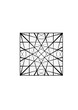 quadratische fläche gefüllt mit einem komplexen netz von strahlenförmigen schwarzen linien, modern art