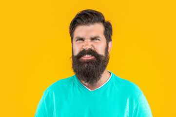 Wall Mural - angry bearded man isolated on yellow. bearded man in studio. bearded man