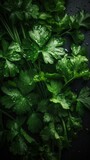 Fototapeta Las - Aromatic Parsley Herbs Photorealistic Vertical Background. Healthy Vegetarian Diet. Ai Generated Lifelike Background with Delicious Aromatic Parsley Herbs. Generative AI