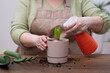 watering by spray bottle a potted houseplant in a greenhouse home gardening on wooden table.