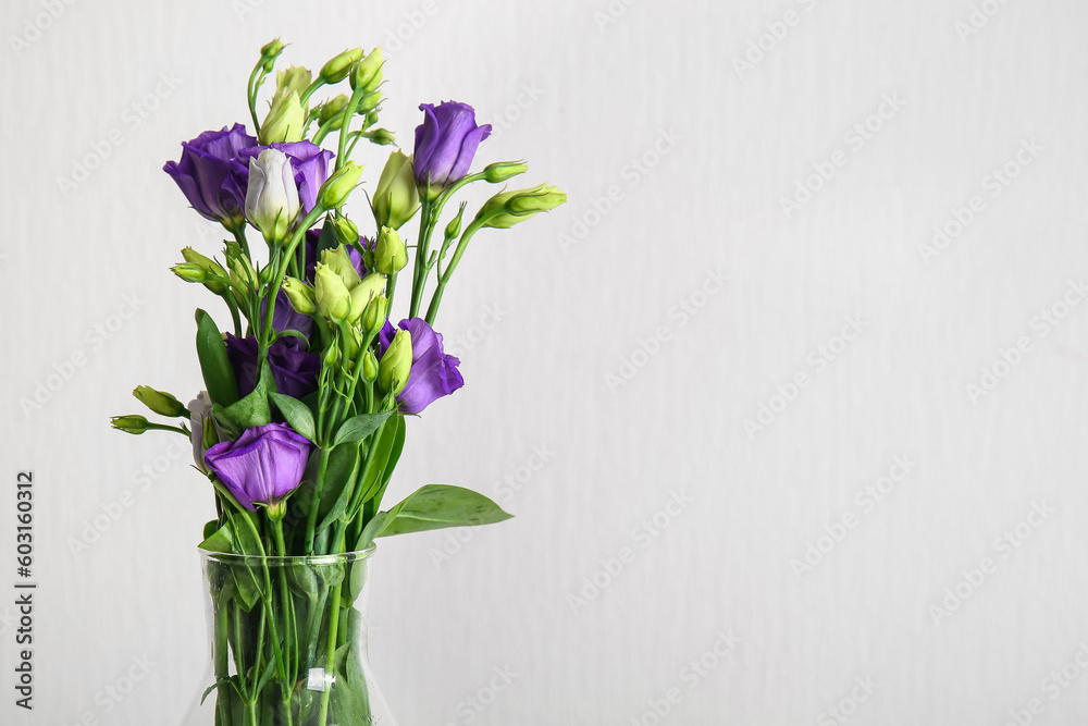 Eustoma flowers on white background