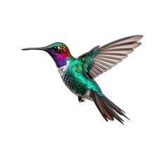 A Colorful Hummingbird On A Transparent Background Png Isolated Flying Through The Air Generative Ai