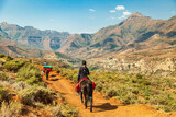 Fototapeta  - Female tourist riding on a Basotho Poney in Lesotho