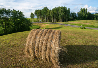 Poster - Hay roll on a hill.