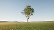 © MUS_GRAPHIC - A green fruitful tree in the middle of the field with green ground. Maintain a healthy green fruitful environment