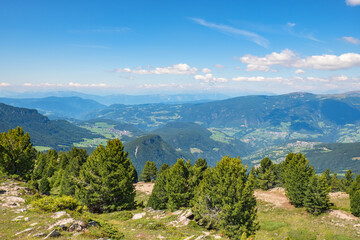 Wall Mural - scenic view of an alp valley