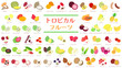 トロピカルフルーツのイラストセット。フラットなベクターイラスト。 Illustration set of tropical fruits. Flat designed vector illustration.