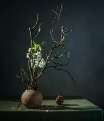 Wall Mural - Dry pine branch and cherry flowers close-up.