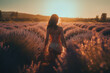 Beautiful sexy woman in lingerie standing in a lavender field during sunset, attractive silhouette during golden hour (generative ai)
