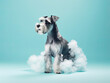 Promotional photo Miniature Schnauzer Dog beautiful electronic commercial photography , blue background, studio photo, clean design, pastel colors Generative AI