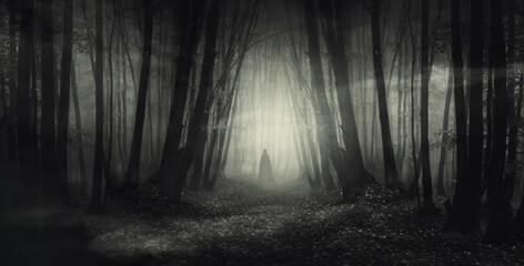 Wall Mural - mysterious ghost in dark woods at night