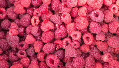 Canvas Print - raspberries..