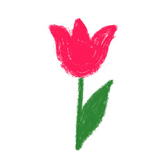 Wall Mural - pink tulip doodle drawing on white background. childish style drawing of flower.