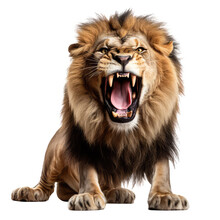 Roaring Lion On A Transparant Background, PNG, Generative Ai