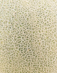 Wall Mural - Melon isolated on white background.