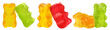 Multicolor collection of jelly gummy bears, cut out