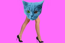 Contemporary Digital Collage Art. Stylish Elegant Kitty. Women Power, Communities, Feminism, Postcard, 8 March Concept.
