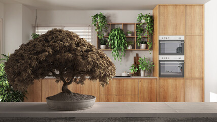 Wall Mural - Vintage wooden table shelf with potted bloom bonsai, beige leaves, flowers, over modern kitchen with appliances, cozy interior design, urban jungle concept idea