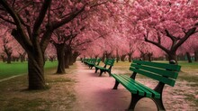  A Row Of Green Park Benches Sitting Under A Pink Tree.  Generative Ai
