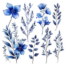 Set Of Blue Floral Watecolor. Flowers And Leaves. Floral Poster, Invitation Floral. Vector Arrangements For Greeting Card Or Invitation Design