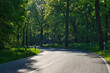 Landstraße - Allee - Kurve - Straße - Hügel - Brandenburg - Ostdeutschland - Germany - Horizon - Road - Empty - Asphalt - Summer - Street - Landscape - Route - Country
