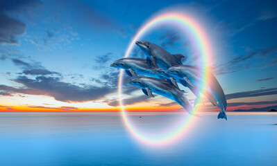 Poster - Group of dolphins jumping up from the sea amazing sunset in the background with rounde rainbow