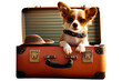 Fun Corgi puppy dog with sunglasses sitting in a suitcase isolated on transparent background, summer travel with a pet concept, generative AI, png file