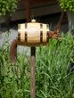 Rotes Eichhörnchen sitzt in einem Vogelfutterhaus und schaut heraus. Grüner Garten,  Sciurus vulgaris, sommerlicher Hintergrund